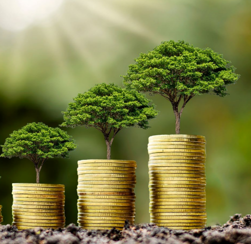 Investing in Sustainable Financing