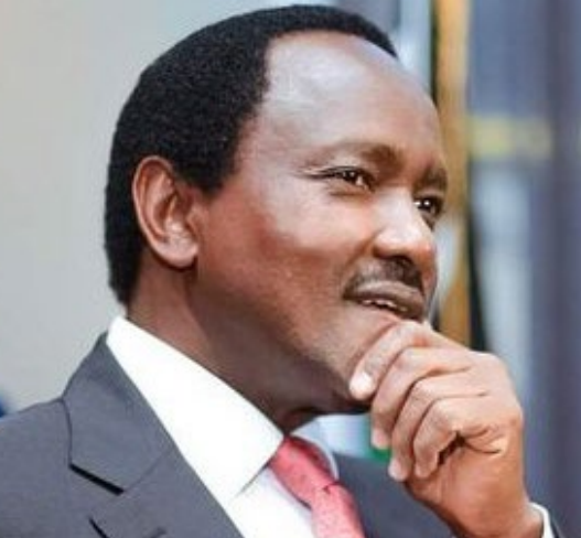 As he demands a solid deal, Kalonzo could hold the cards