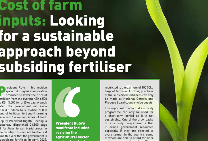 Cost of farm inputs: Looking for a sustainable approach beyond subsiding fertiliser