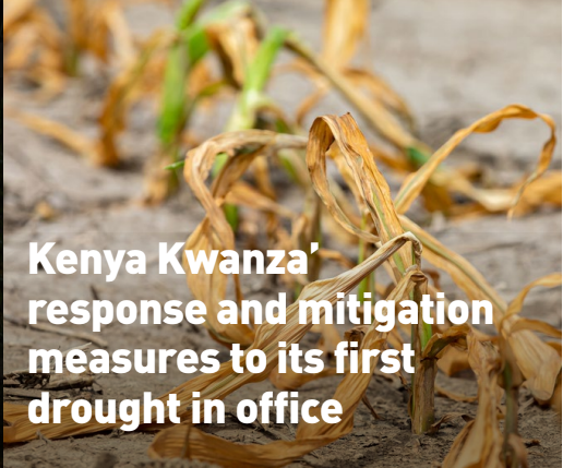 Kenya Kwanza’ response and mitigation measures to its first drought in office 