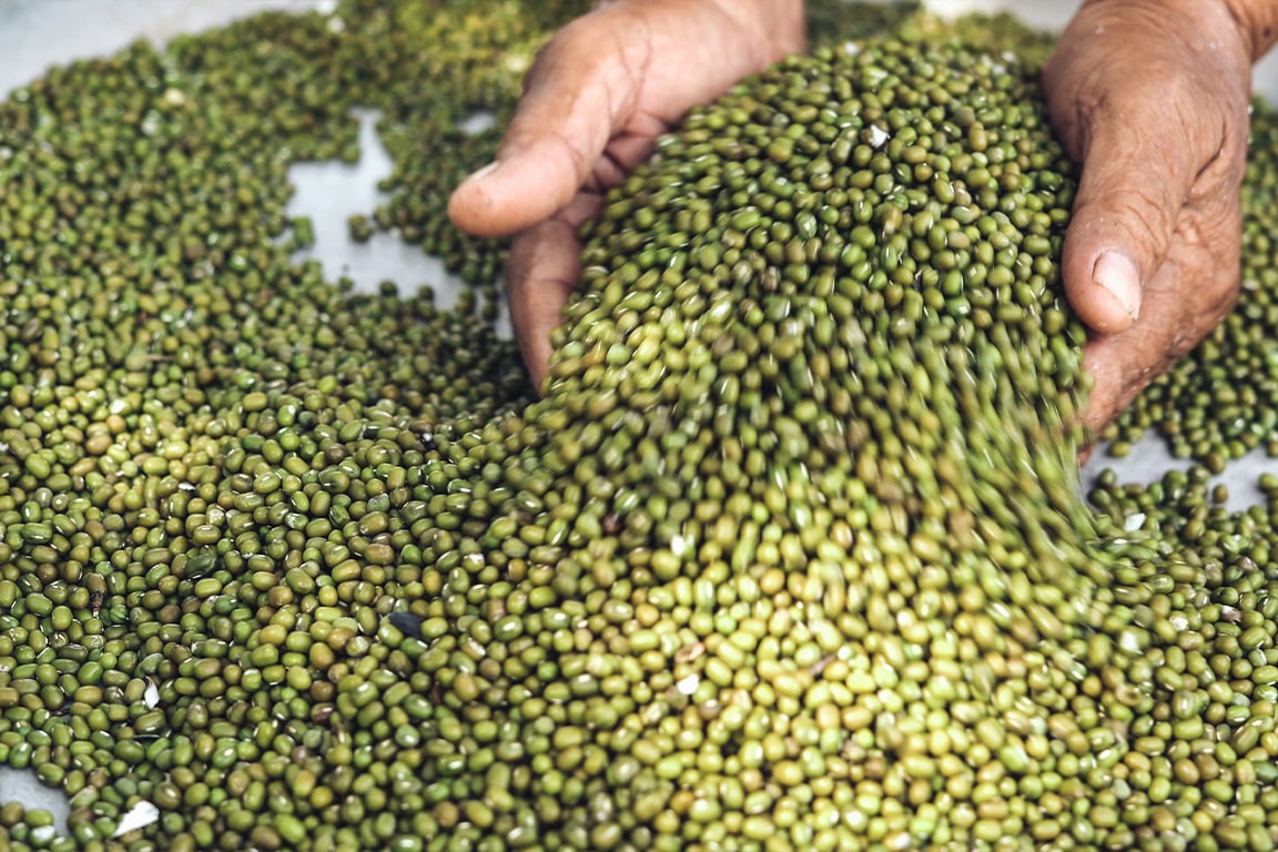 The dilemma of overly strict legislation: Why crop-specific bills won’t suffice in protecting farmers 