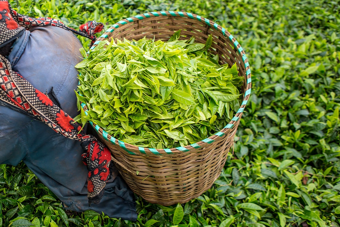 Parliamentary Round-Up: Issue No. 43 of 2025 