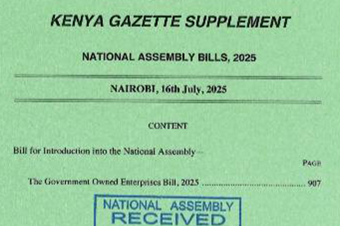 Parliamentary Round-Up: Issue No. 45 of 2025 